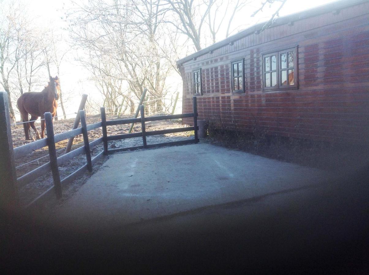 Chalet Westerham Winsum  Kültér fotó