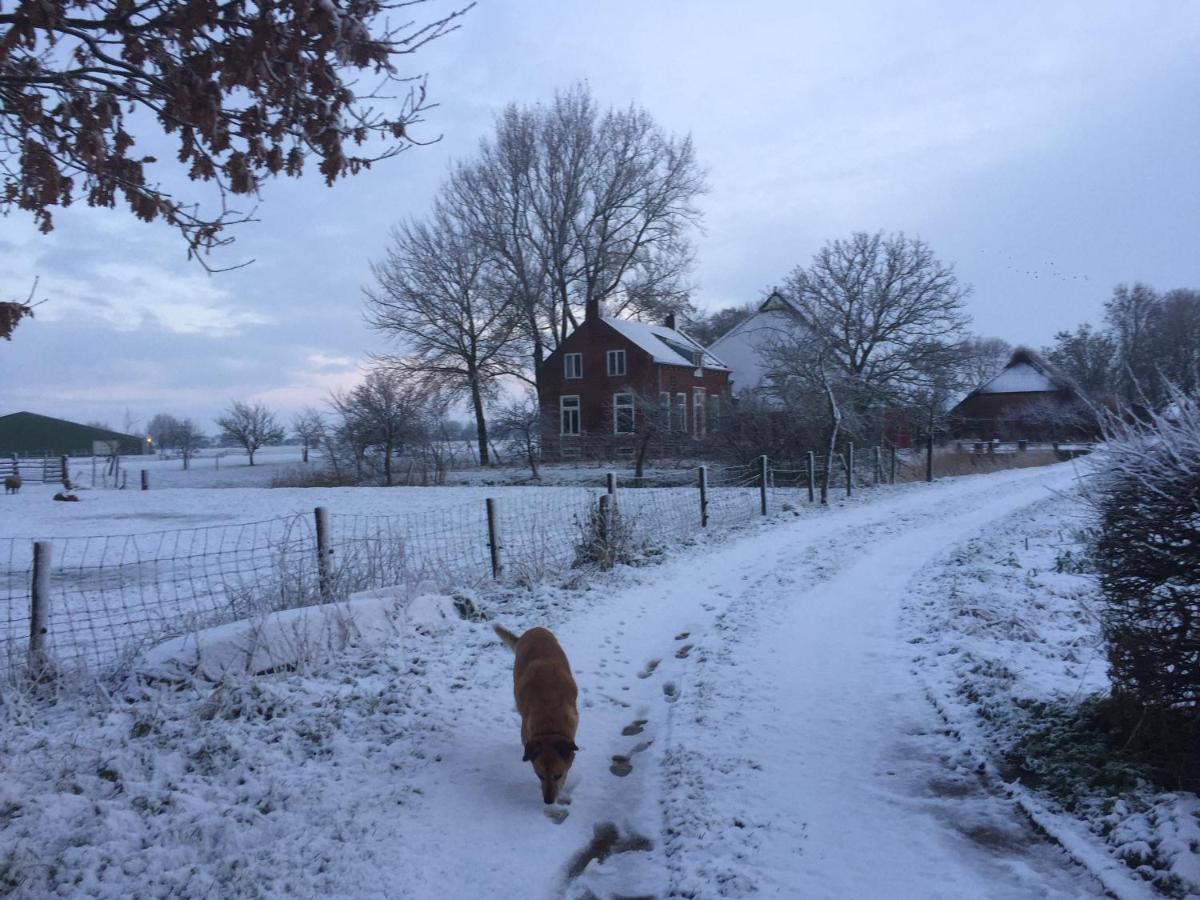 Chalet Westerham Winsum  Kültér fotó